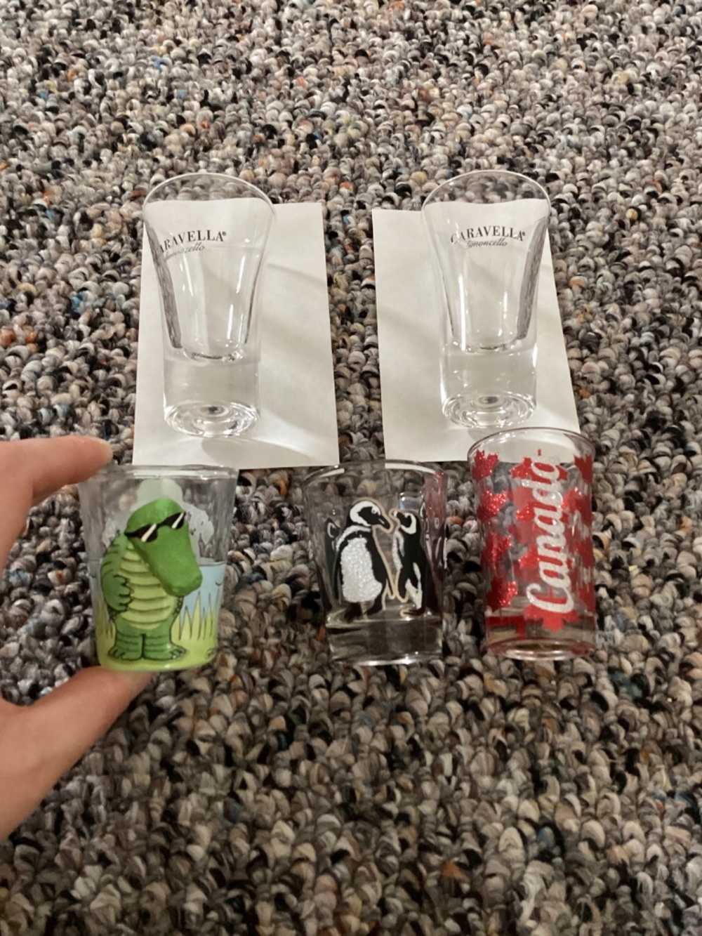 5 Shot Glasses